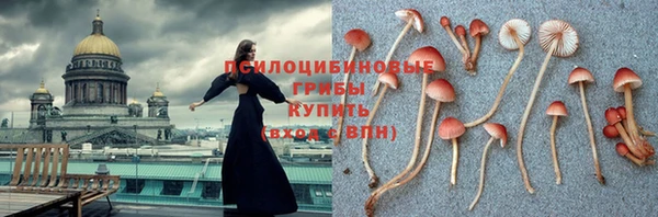 jwh Дмитров